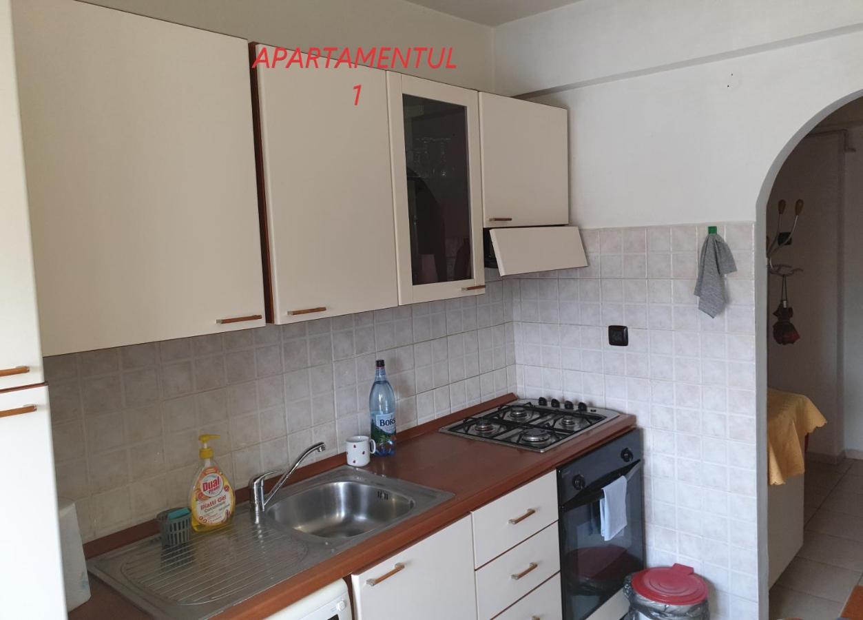 Apartament Cu 2 Camere,Ultracentral In Arad Exterior foto