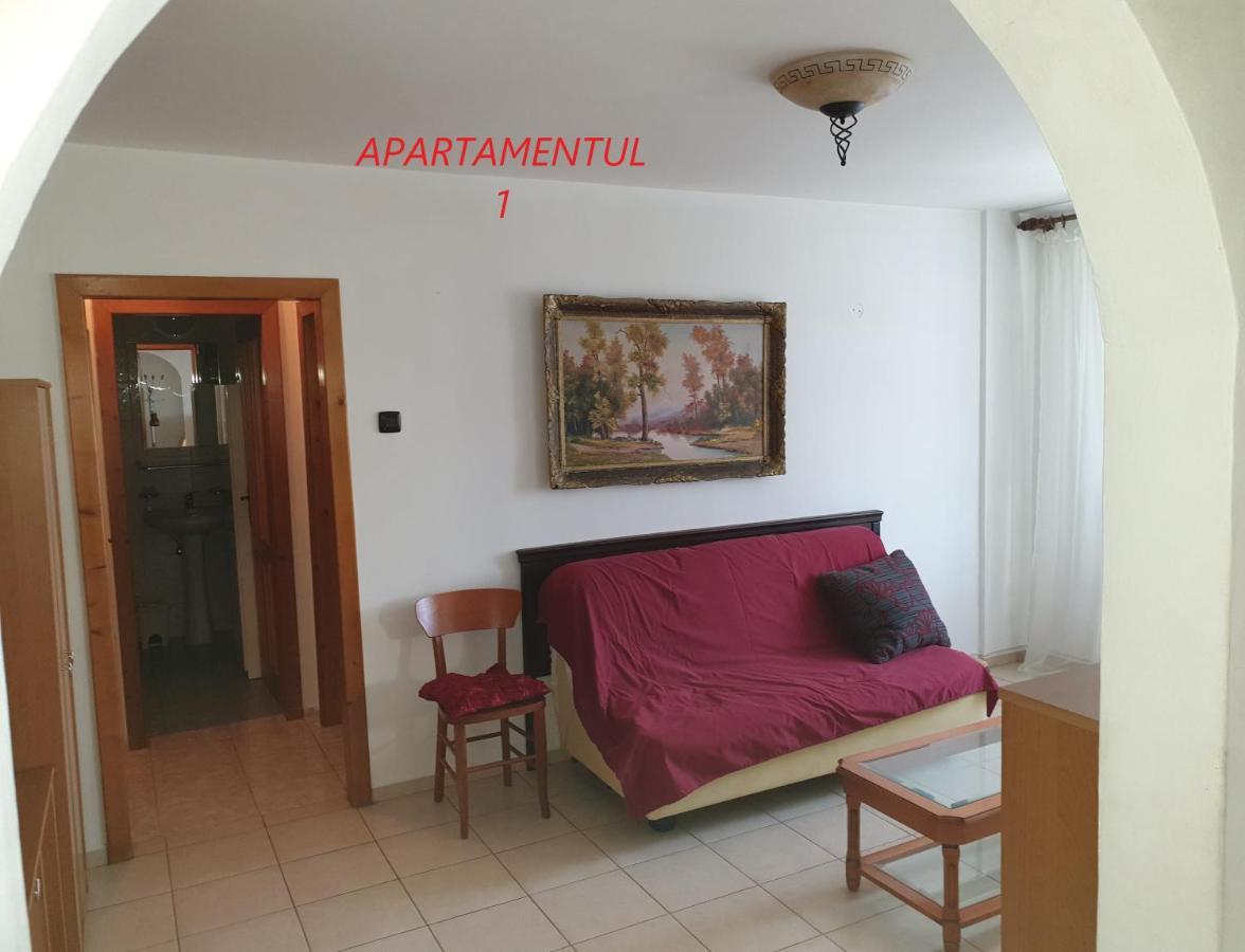 Apartament Cu 2 Camere,Ultracentral In Arad Exterior foto