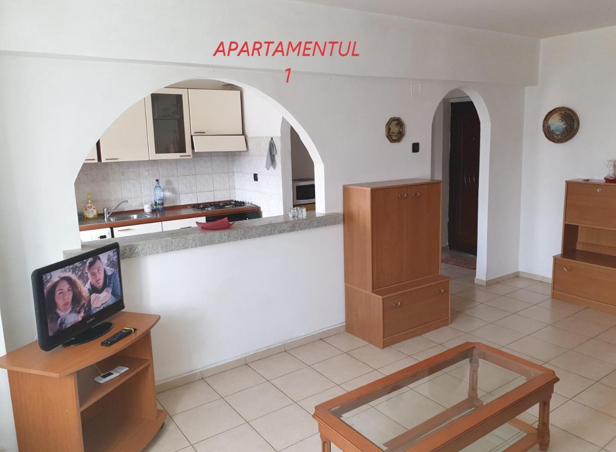 Apartament Cu 2 Camere,Ultracentral In Arad Exterior foto